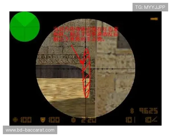 如何在CS游戏中查看对手的战绩以及分析对手的游戏表现技巧